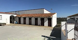 FINCA LOS LLANOS 007