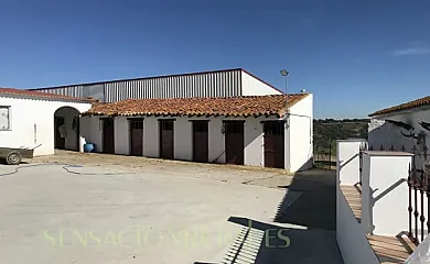 FINCA LOS LLANOS en Atalaya (Badajoz) - Foto 6