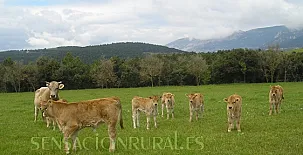 Casa Vilanova d'Isanta 0010