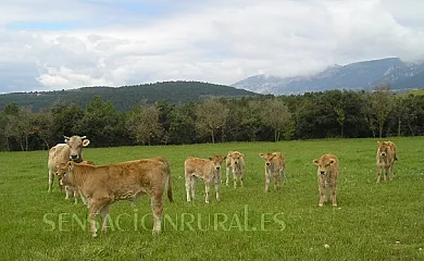 Casa Vilanova d'Isanta en Lladurs (Lleida) - Foto 20