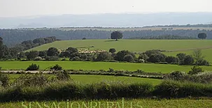Casa Vilanova d'Isanta 0011