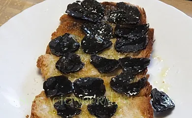 Mas Font en Sant Gregori (Girona) - Foto 9