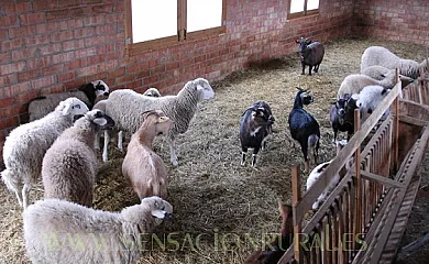 Cal Monjo en Vallcebre (Barcelona) - Foto 13