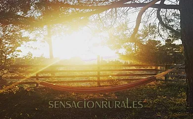 Mas l,Estrada en Viladecaballs de Calders (Barcelona) - Foto 8