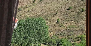 El Cerro y El Frontón 0020