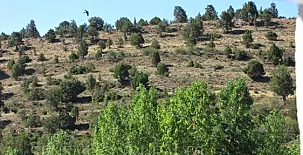 El Cerro y El Frontón 0021