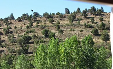 El Cerro y El Frontón en Vadillo (Soria) - Foto 21