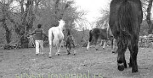 Casa Abuela Herminia 005