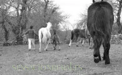 Casa Abuela Herminia en Tudera (Zamora) - Foto 5