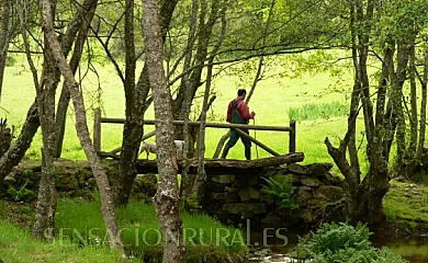 El Taller de la Seda * * * * * en Avedillo de Sanabria (Zamora) - Foto 15