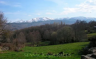 El Zaburdón - El Duque en Gil García (Ávila) - Foto 14