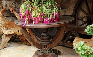 Mancho Villa en Casavieja (Ávila) - Foto 2