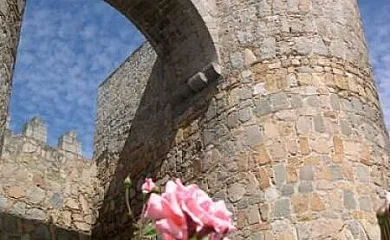 Los 2 Yugos en Navaluenga (Ávila) - Foto 13