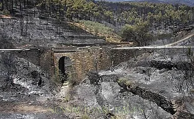 Los 2 Yugos en Navaluenga (Ávila) - Foto 16