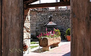 La Canaleja en Valle de San Pedro (Segovia) - Foto 13