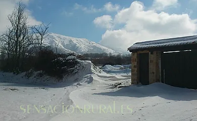 Alojamiento Rural El Mirador del Hayedo en Riofrío de Riaza (Segovia) - Foto 9