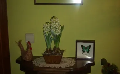 Mi Rinconcillo en Valleruela de Pedraza (Segovia) - Foto 24