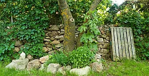 El Zaguán de Cabanillas 006