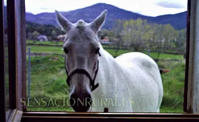 CASA RURAL BUENAVISTA**** en El Espinar (Segovia) - Foto 21
