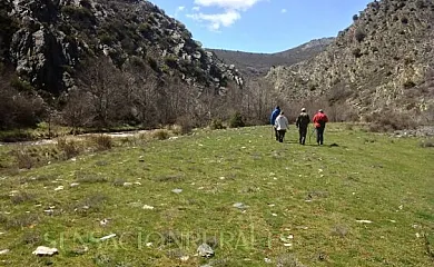 Casa Rural Albarranco en Prádena de Atienza (Guadalajara) - Foto 4
