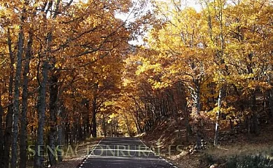 Casa Rural Albarranco en Prádena de Atienza (Guadalajara) - Foto 19