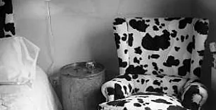 Las Casas de Andrea 005