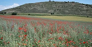 casa rural la Perla 0012