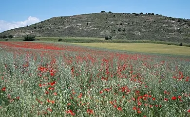 casa rural la Perla en Hiendelaencina (Guadalajara) - Foto 12