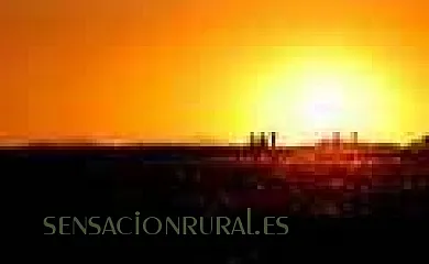 Casa Rural Los Chorrones en Castejón de Henares (Guadalajara) - Foto 4