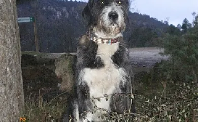 Casas del Salto en Póveda de la Sierra (Guadalajara) - Foto 16