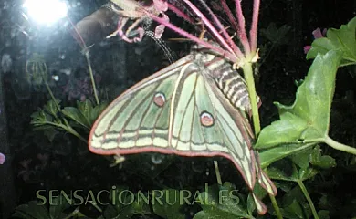 Casas del Salto en Póveda de la Sierra (Guadalajara) - Foto 21