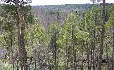 Casa de la Paca en Coca (Segovia) - Foto 12