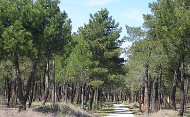 Casa de la Paca en Coca (Segovia) - Foto 14