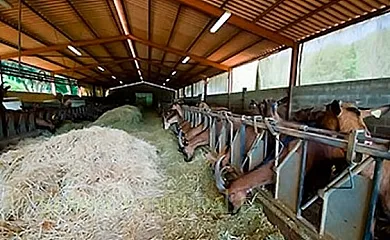 Casa de Aldea el Molín de Frieras en Llanes (Asturias) - Foto 6