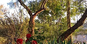 Cuevas de Al Jatib 005