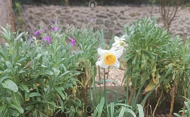 Casa Rural El Sosiego en Morella (Castellón) - Foto 21