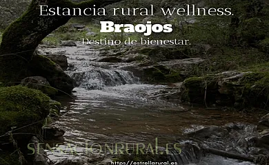 Estrella rural alojamientos con encanto en Braojos (Madrid) - Foto 16