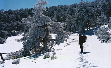 Las Casas de Ángela - Agroturismo Madrid en Lozoyuela (Madrid) - Foto 19