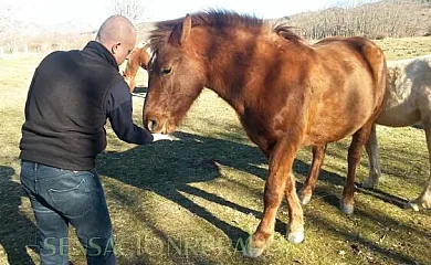 Madre Terra en Puebla de la Sierra (Madrid) - Foto 16