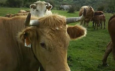 Madre Terra en Puebla de la Sierra (Madrid) - Foto 17
