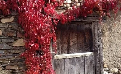 Madre Terra en Puebla de la Sierra (Madrid) - Foto 19
