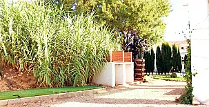 Huerta El Tranquillón 004