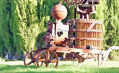Huerta El Tranquillón en Casas de Roldán (Cuenca) - Foto 6
