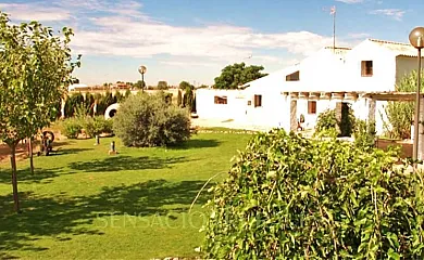 Huerta El Tranquillón en Casas de Roldán (Cuenca) - Foto 7