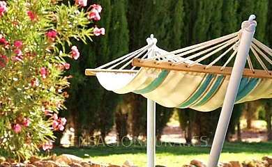 Huerta El Tranquillón en Casas de Roldán (Cuenca) - Foto 8