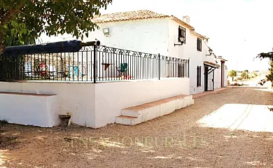 Huerta El Tranquillón en Casas de Roldán (Cuenca) - Foto 10