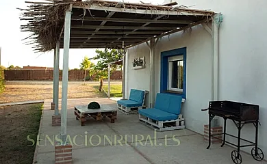 Casa rural Patio del Maestro en Totanes (Toledo) - Foto 14