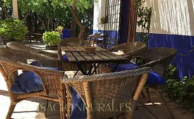 El Huerto de Dulcinea en El Toboso (Toledo) - Foto 3