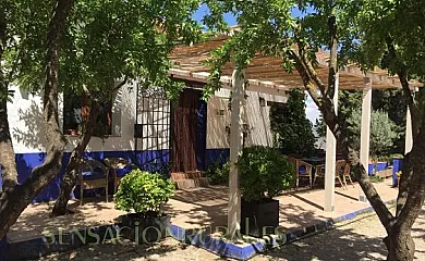 El Huerto de Dulcinea en El Toboso (Toledo) - Foto 7