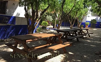 El Huerto de Dulcinea en El Toboso (Toledo) - Foto 8